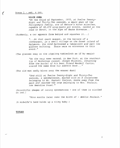 Amelie Movie Script Screenplay Gift for Film Buffs Gift for Movie Lovers Gift Idea Movie Memorabilia Gift for Friend Gift Ideas Gift