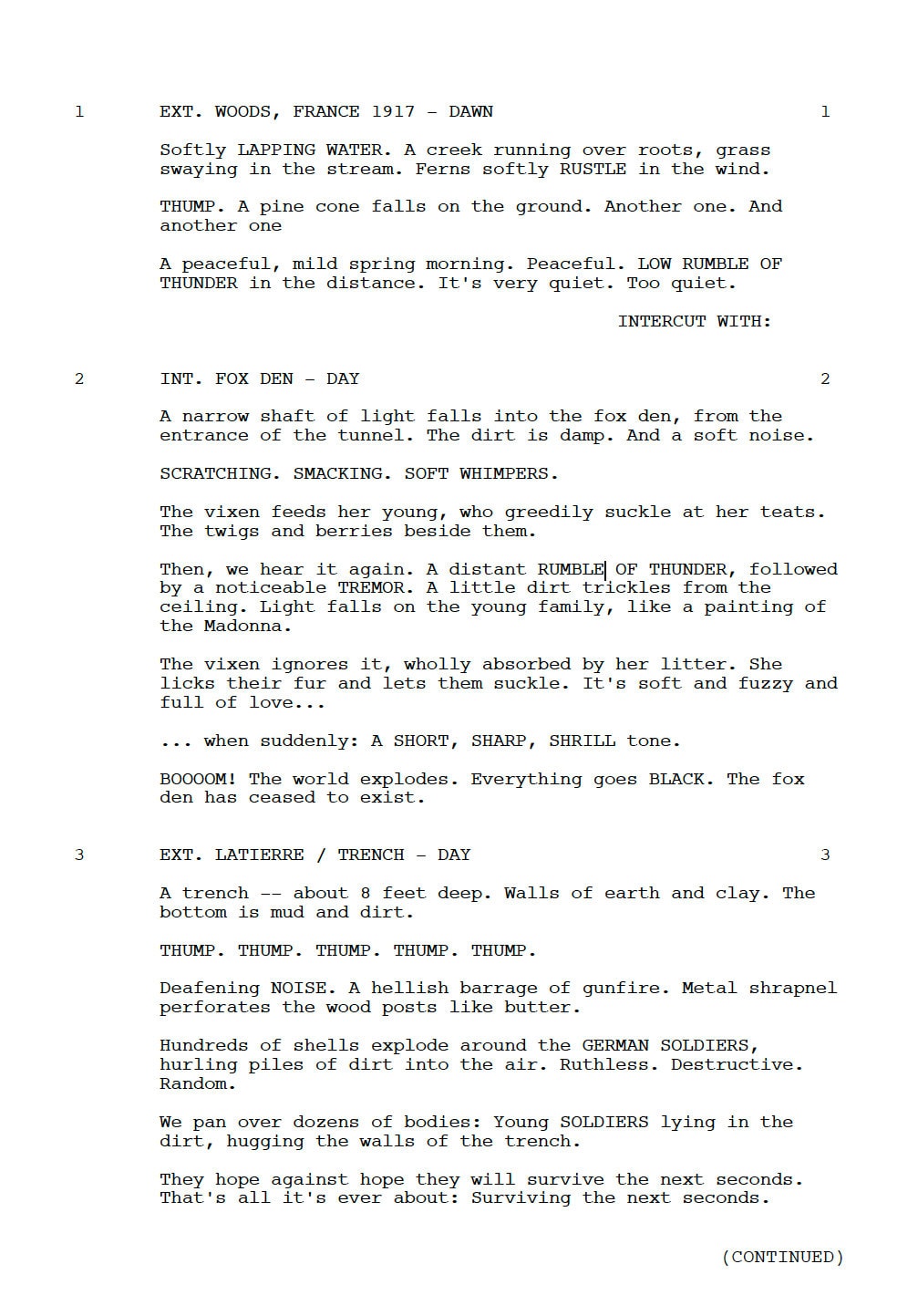 All Quiet on the Western Front Movie Script Screenplay Gift for Film Buffs Gift for Movie Lovers Gift Idea Movie Memorabilia Gift for Friend