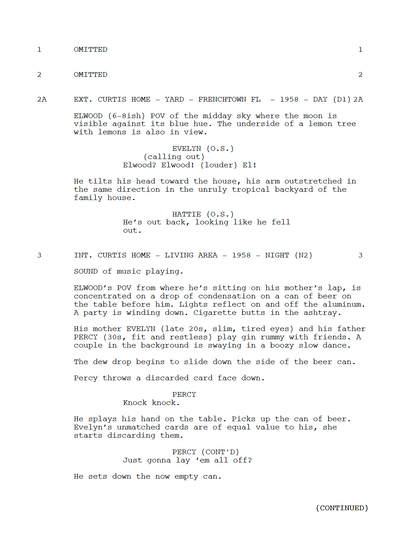 Nickel Boys Movie Script Screenplay Gift for Film Buffs Gift for Movie Lovers Gift Idea Movie Memorabilia Gift for Friend Gift Ideas Gift
